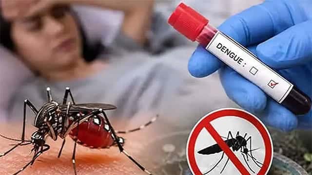 Sri Lanka records 79 dengue deaths so far this year