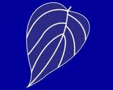 UPFA wins LG election in a landslide