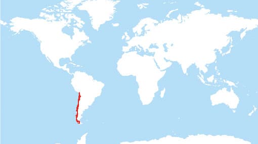 Strong quake shakes Chile, tsunami warning issued