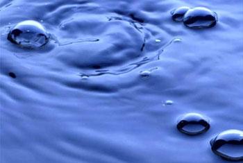 Youth drowns after car plunges into Diyawanna Oya