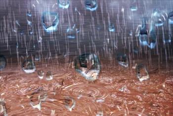 Met Department warns of rough seas