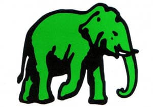 UNP seniors want reforms before Local Govt. polls