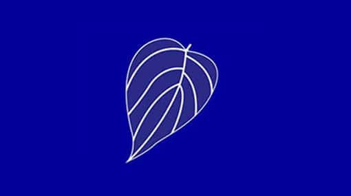 UPFA election campaign to begin from Anuradhapura