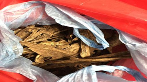 British man arrested with Wallapatta in Fort