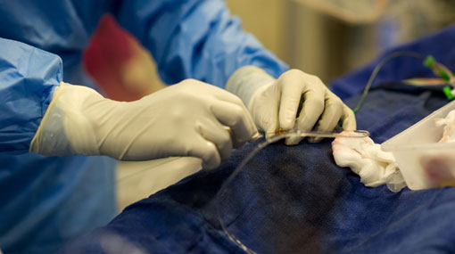 Committee to probe cardiac surgery deaths at National Hospital