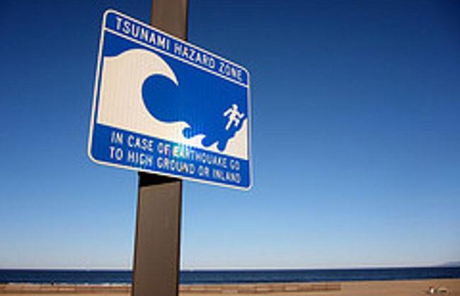 Don’t panic! No tsunami threat - DMC