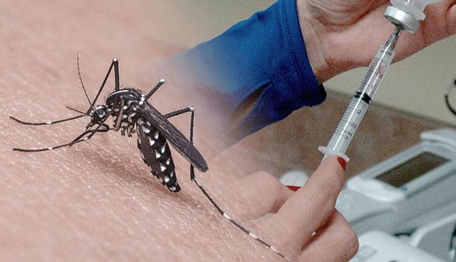 Sri Lanka rejected proposal to import ‘dengue vaccine’