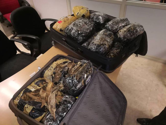 Three nabbed with Wallapatta worth over Rs 3.4m at BIA