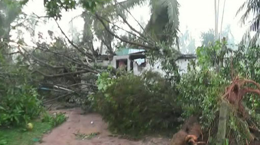 Over 300 houses destroyed as strong winds rip through Gampaha