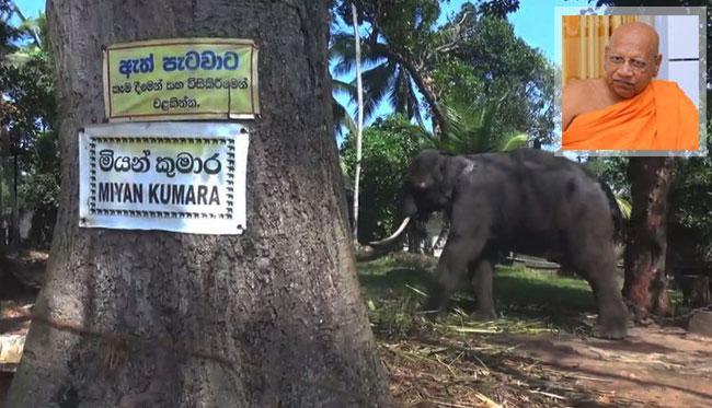 Bellanwila Wimalarathana Thera injured and hospitalised