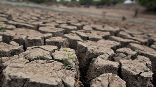 Drought affects thousands of families in North