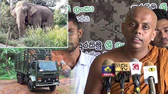 President offered recommendations on conserving Sinharaja elephants