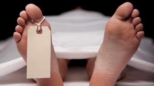 French tourist killed in a motor accident at Wellawaya
