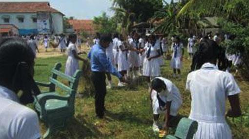 Dengue prevention programme in eight districts