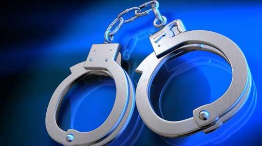 Three arrested for possession of Elephant Pearls