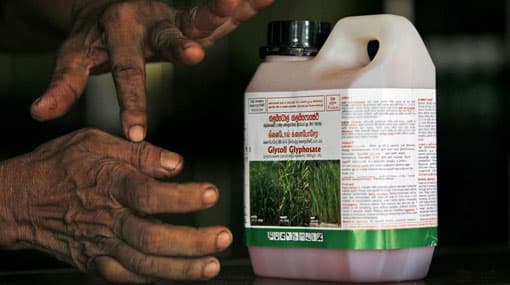 US court ruling on glyphosate cold help affected Sri Lankans seek justice