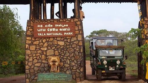 Yala National Park closed for two months