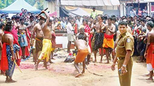 Cabinet bans ritualistic animal sacrifices