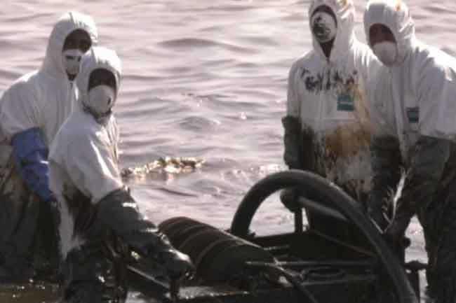 Follow-up activities commenced on oil-spilled coastal line