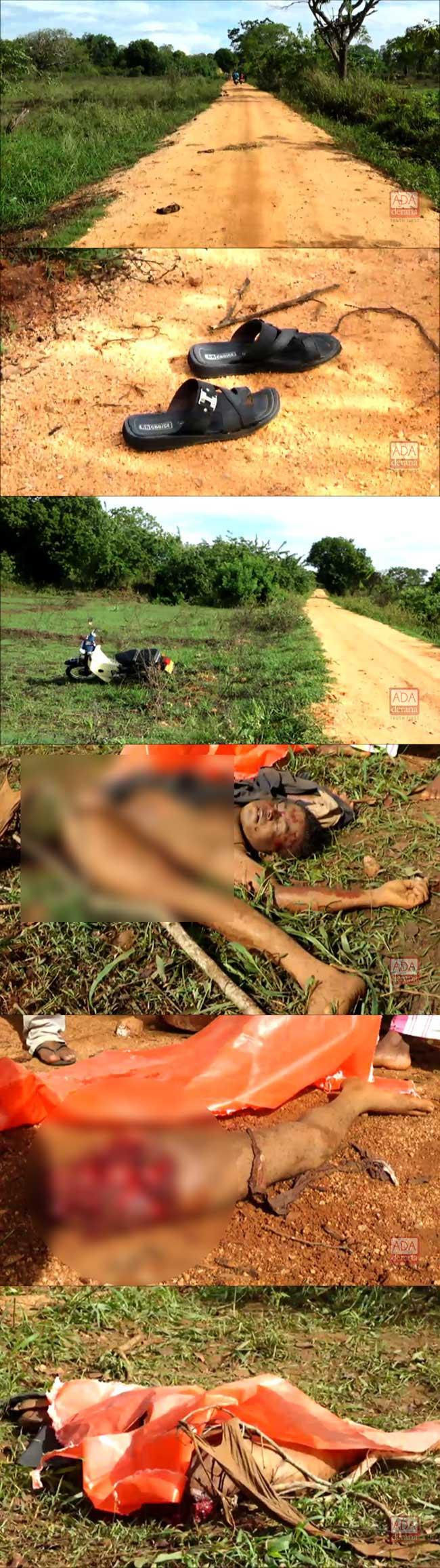 Retired soldier killed in elephant attack