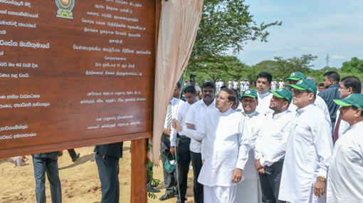 Public servants liable for environmental damage in respective districts – President