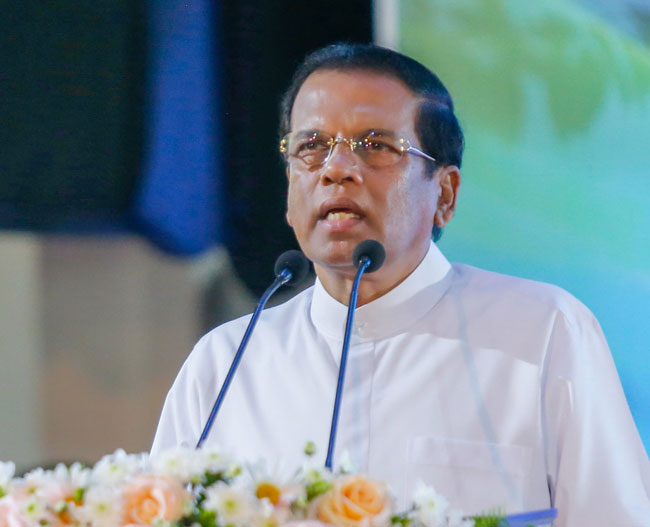 Public servants must fulfill responsibilities beyond designated duties to protect forest resources – President