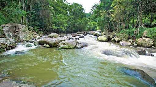 Three university students drown