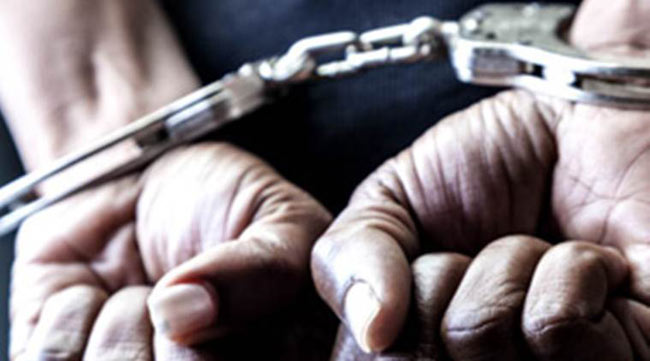 Four arrested over excavating for treasure