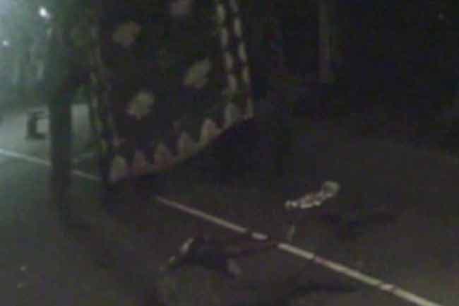 Elephant kills mahout during Perahera