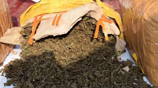 Major Cannabis dealer nabbed in Avissawella
