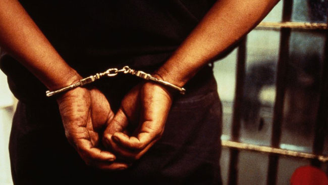 Ex-LTTE member arrested with firearms and ammo