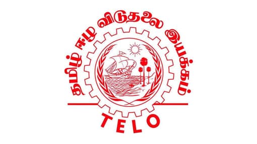 New Constitution falls short of expectations - TELO