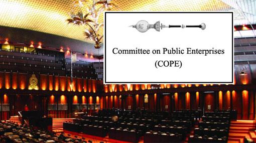 COPE report on 17 state institutions tabled in Parliament