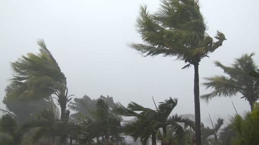 Wind speed to strengthen over the island