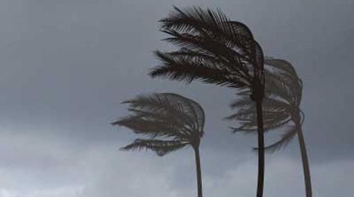 Windy condition to strengthen over the island