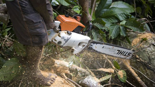 Register all chainsaws before February 28 – Defence Ministry