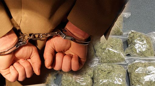 Two including STF Sub-Inspector arrested with Kerala Cannabis