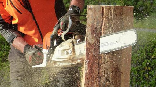 Registration of chainsaws halted?