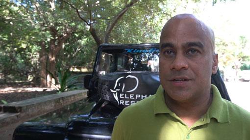Legal certification for safari jeep drivers mandated from July