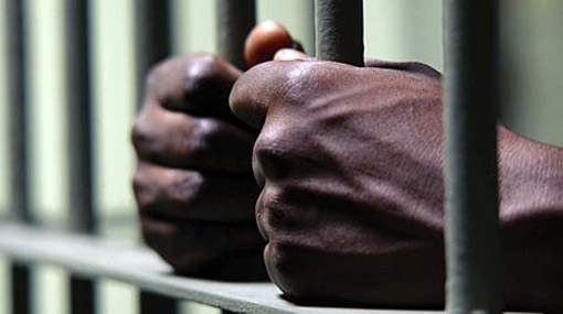 Over 3,700 arrested during special police operation