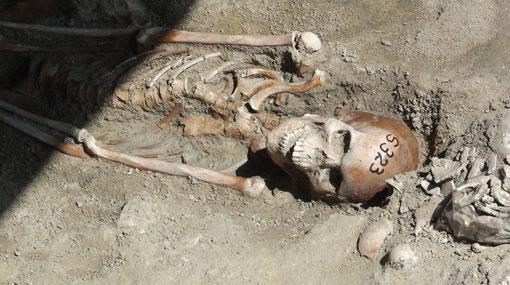 Court receives radiocarbon test reports on Mannar mass grave