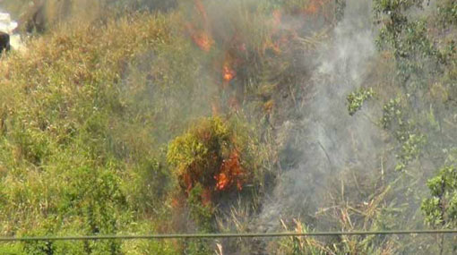 Hundred-acres of St. Claire’s reserve destroyed in fire