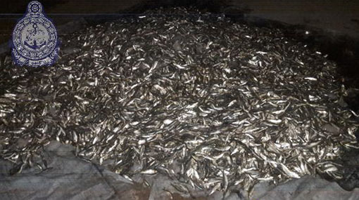 Navy nabs two over fishing with explosives