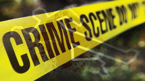 Sapugaskanda murder suspect found shot dead