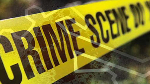 Disagreement over paddy field leads to murder