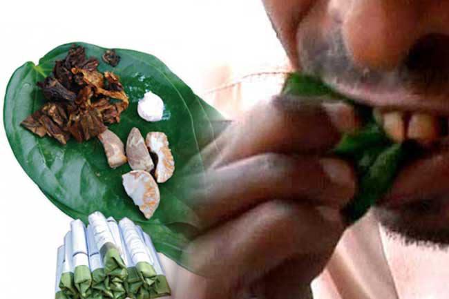 Chewing betel within state institutions banned