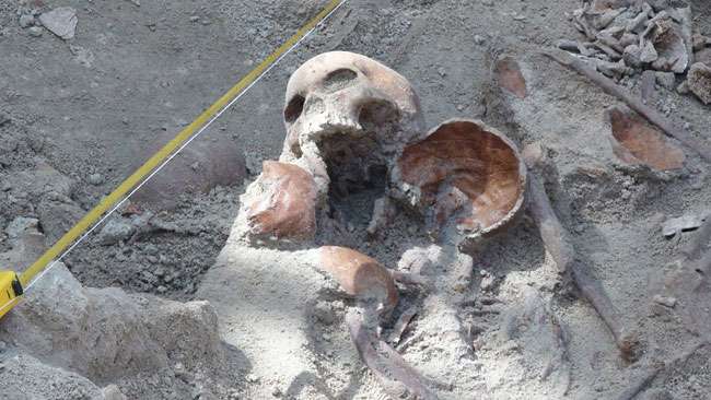 Excavations at Mannar mass grave temporarily halted
