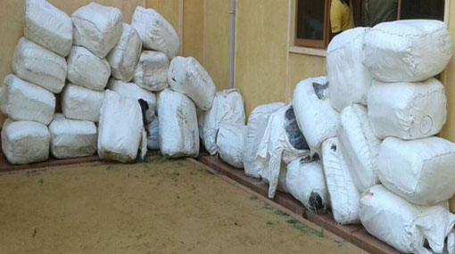 1,232 kg of Beedi leaves found floating at sea