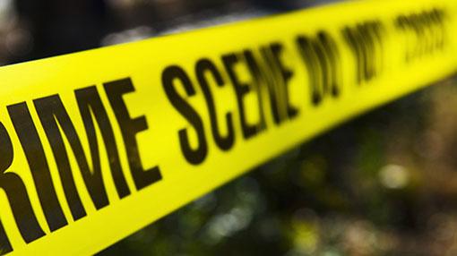 Two persons found hacked to death in Sevanagala