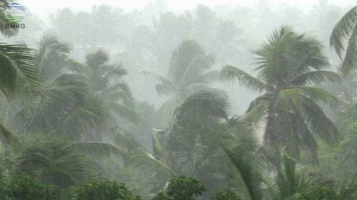 Severe thunderstorm and heavy rainfall advisory issued
